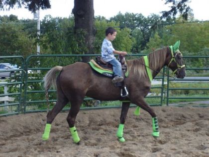 Petit enfant montant un cheval