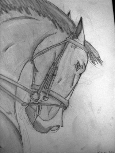 hey! vous savez le croquis que jai mis l'autre jour?! je lai...