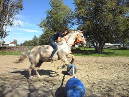 Moi & Goldy en saut &#9829;