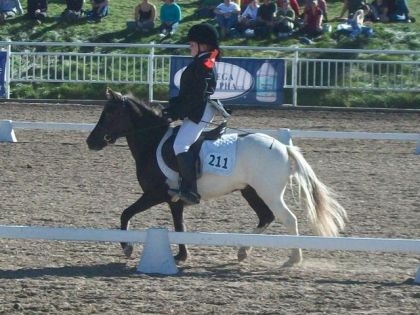 Hier à Bromont, il est tellement cute le poney!