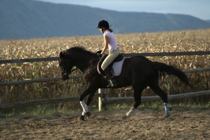 photo par Henri Encore moi et ma jument au galop :)