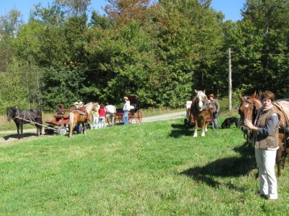 Attelage en gang 