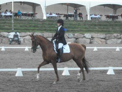 Très beau cheval! À Bromont samedi. :)
