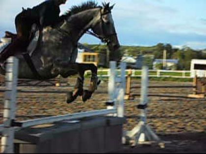 photo par Cloon Waaow BB Loup tu commences a avoir des beaux genouus !