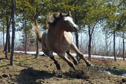 photo par Toffino