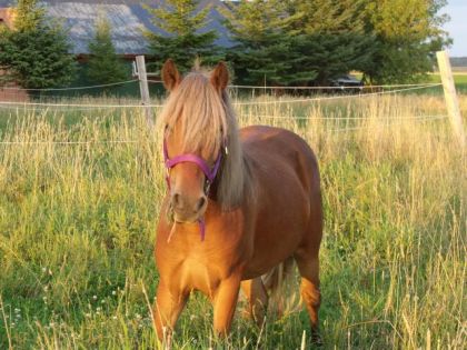 Ma ponette ! ça faisait super longtemps que j'avais pas mis de...