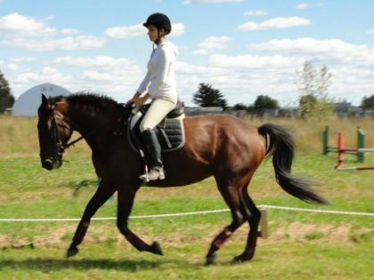 Pratique de dressage au nuage blanc! sept2010
