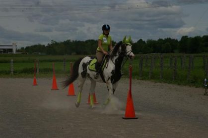 CONCOURS