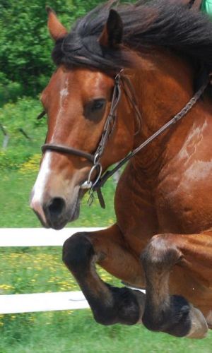 Mon Max