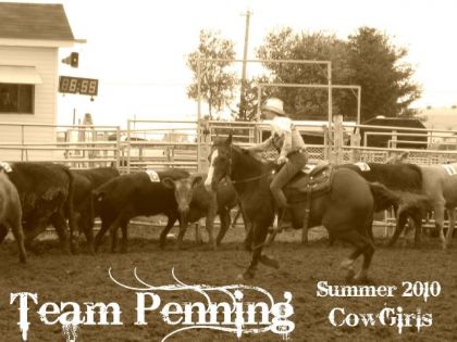 Moii en compett de Team Penning !:D