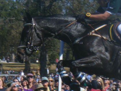 cross jeux equestre mondiaux