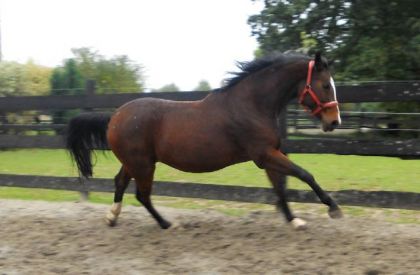 photo par nadejda01