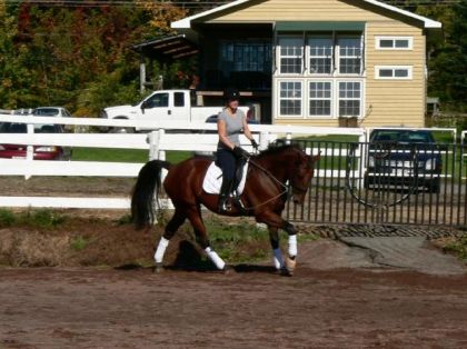 mon elle homme au galop, ca commence a bien aller!