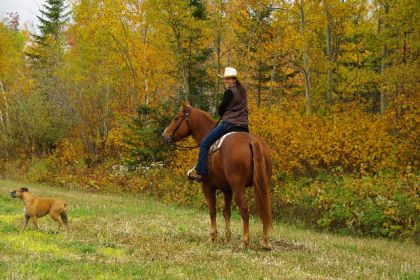 aaah c'est beau l'automne!