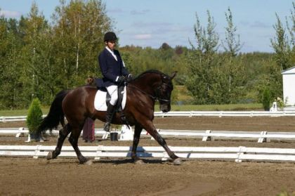 Galop allongement
