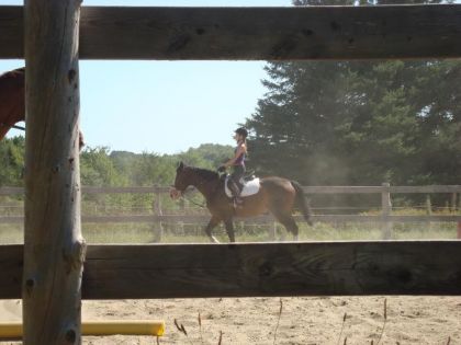 bluue et moi en dressage :)