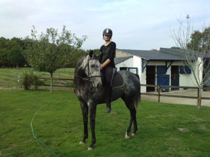 vadlix : cheval de course de l "écurie " qu 'il est beau !...