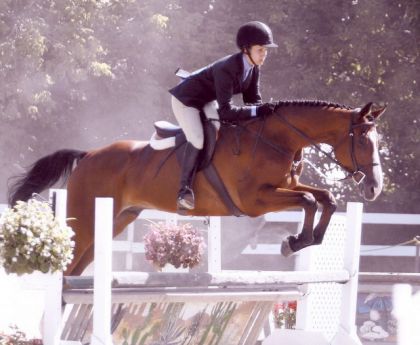 Premier concours de mon cheval cet été!