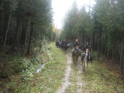 Randonnée de Samedi à Saint-Élzéar...Moi en avant suvi de mon...
