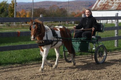 Y'a pas juste mon cheval qui est polyvalent... Moi aussi je le...