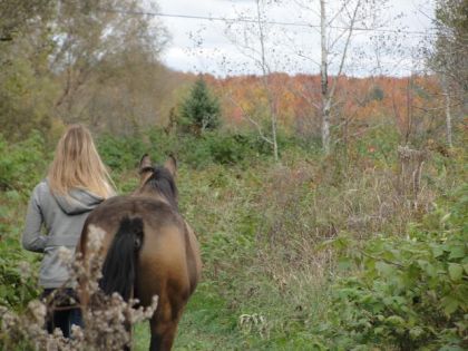 Moi et Micro :)