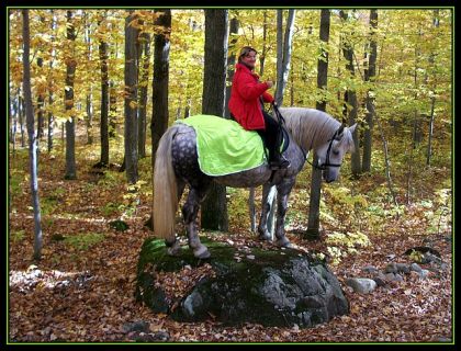 Si ça continu comme ça Silver,tu va finir dans un cirque! LOL.