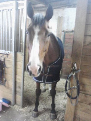 P'tite face irr&eacute;sistible!  (L)