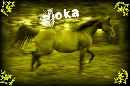 Petit montage de Joka. :)