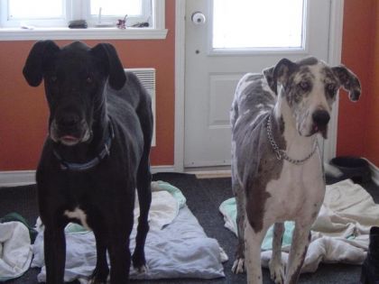 Cloé et Gus