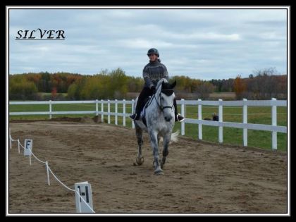 J'ai bien aimé  l'attitude de Silver à notre 1er concours de...