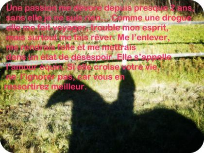 Un petit texte que jai composer