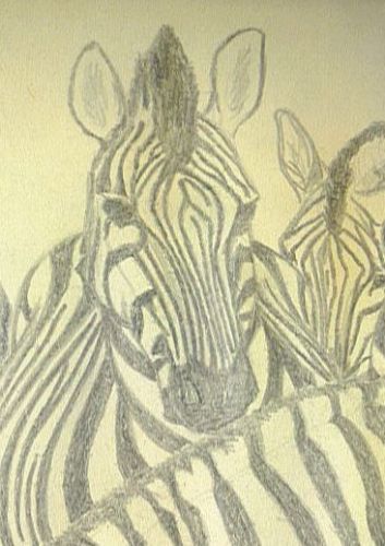 zèbres sur papier jaune