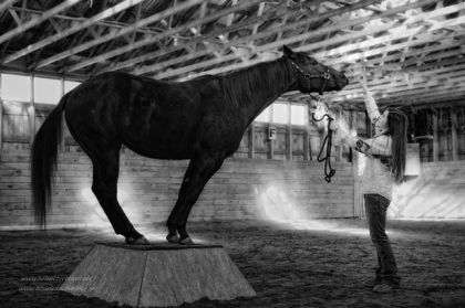 Photo travailler artistiquement 4/5(scéance photo du 9 oct avec...