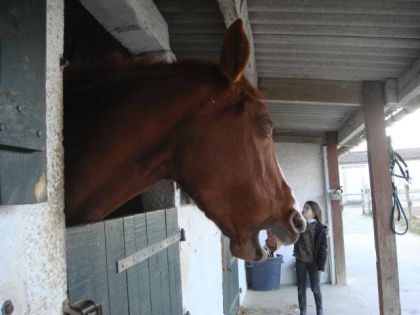 Labrise, un peu fatigu&eacute; apr&egrave;s le concours du club :-D