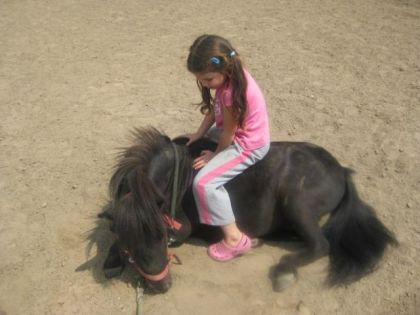 photo par Irishcob83 Ma tit fallone (5ans) et son Minus (3ans 1/2)