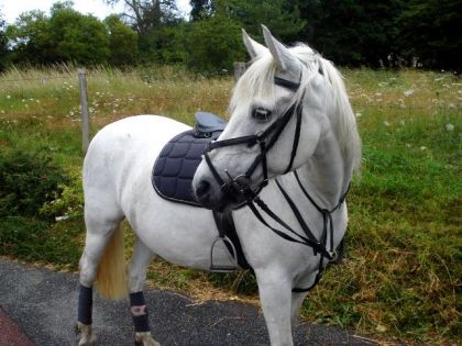 photo par Mailysse