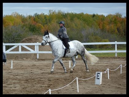 Moi et Silver en dressage. :)