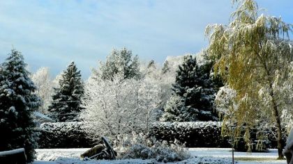 Chez moi le 31 octobre 2010 ! hier il n'y avait aucune neige, et...