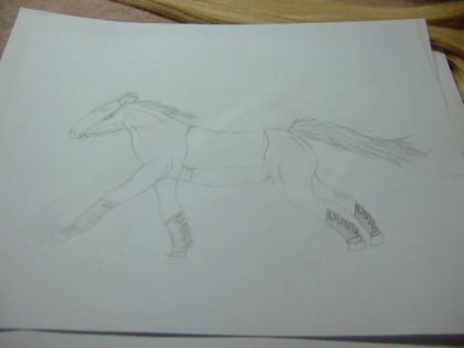 Encore un dessin que j'ai fait mais,il n'est pas fini ! :P