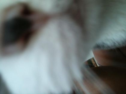 Lune qui snt mon appareil photo ! 