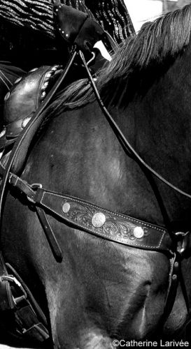 Simplement western.