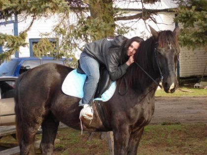 Cavalière sur son cheval