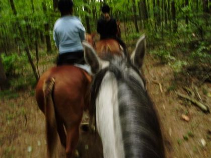 randonn&eacute; avec mon cheval v&eacute;loou et pat, am&eacute;lie et candie!