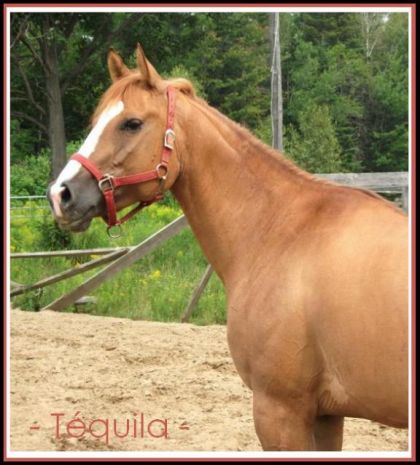 photo par RedDun