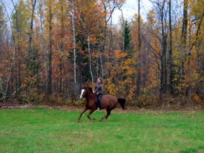 Moi et Jolly sous le paysage d'automne! Encore une rando...