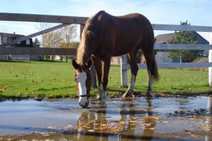 elle n'a plus peur de l'eau