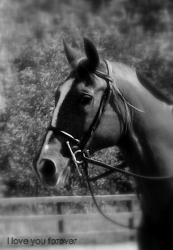 Mon beau ptit chou..qui est po a moi lol...a croire qu'il est en...