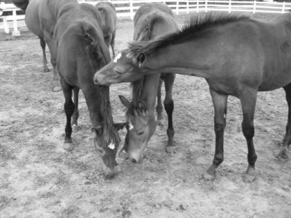 photo par impresive