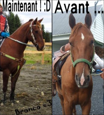 ouuf,que du changement ! :)
