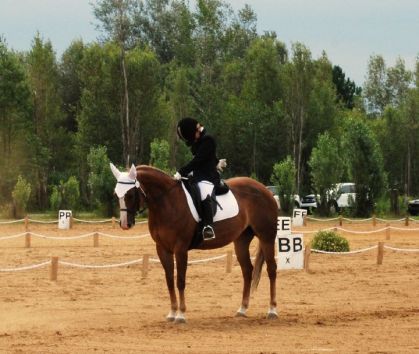petit cheval de barbie ( L ) ! 